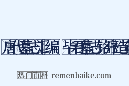 唐代墓志汇编·毕君墓志铭序造句是什么意思的图片